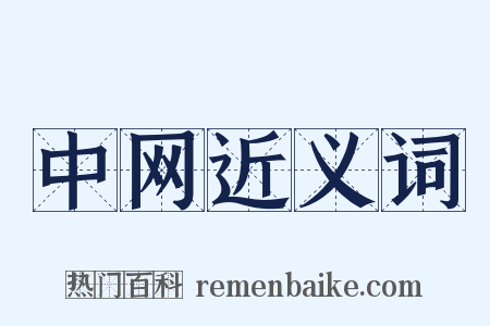 中网近义词是什么意思的图片